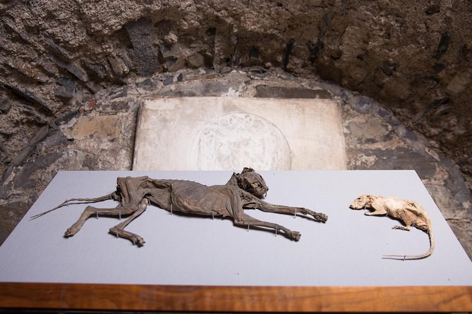Dublin Christ Church Cathedral Admission Ticket - A self-guided visit that leaves room to pause