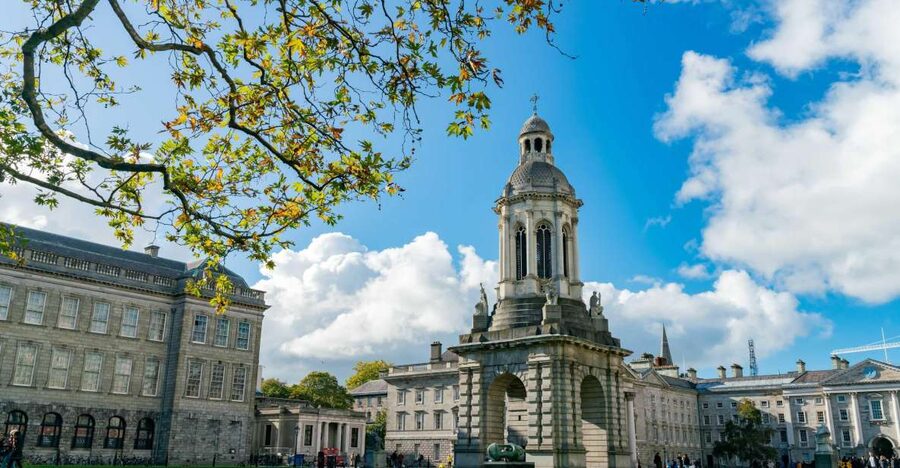 Dublin City Walking Tour, Vikings, St. Partick, Highlights - Dublin Castle and the Viking connection