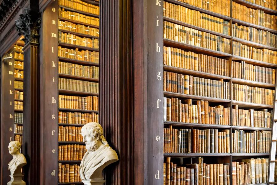 Dublin City Walking Tour, Vikings, St. Partick, Highlights - St Patrick’s Cathedral and Irish identity
