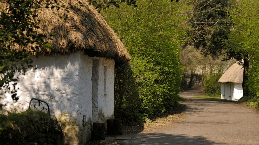 Dublin: Cliffs of Moher, Ennis, & Bunratty Castle Day Tour - Who will enjoy this tour most