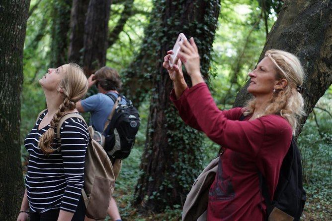 Dublin Coastal Hike with Howth Adventures - Why Howth makes such a good Dublin day trip