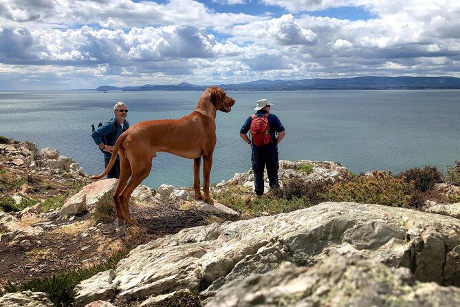 Dublin Coastal Hike with Howth Adventures - St Mary’s Abbey and Howth’s older story