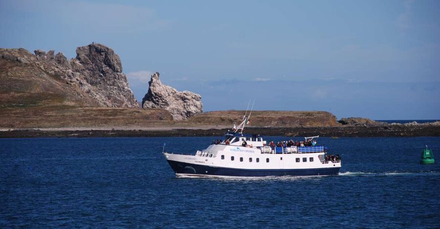 Dublin: Dublin Bay Cruise from Howth to Dun Laoghaire - Passing Howth Cliffs and rounding Howth Head