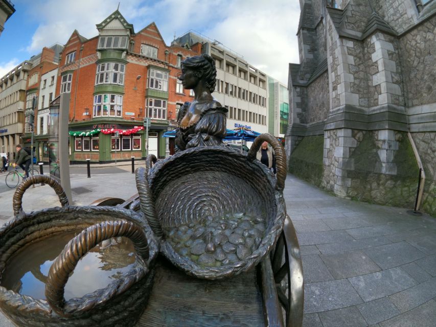 Dublin: Dublin City Highlights Private Guided Walking Tour - Trinity College, the Book of Kells, and the Brian Boru Harp