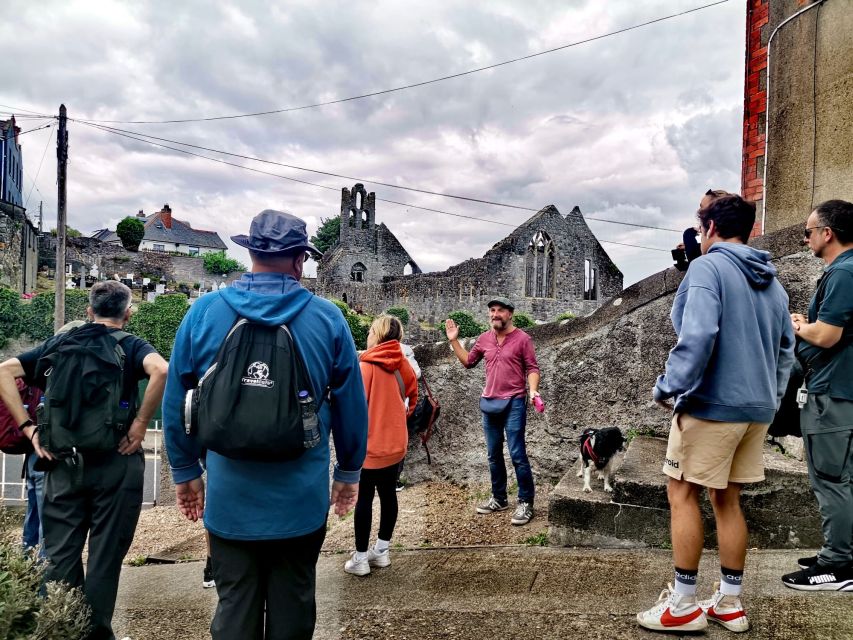 Dublin: Dublin Coastal Hike and Pints & Puppies - What the Three and a Half Hours Feel Like