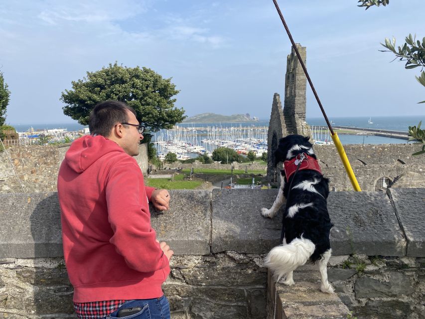 Dublin: Dublin Coastal Hike and Pints & Puppies - Who Will Enjoy This Howth Walk
