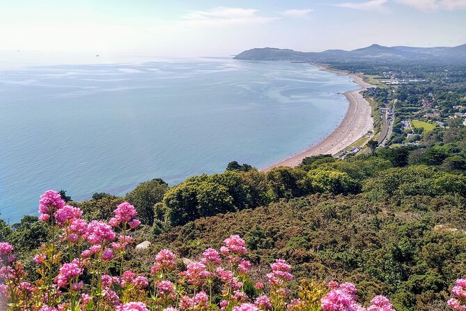 Dublin (Dun Laoghaire) Top-Rated Coastal Walking Tour - Meeting near Dun Laoghaire Harbour