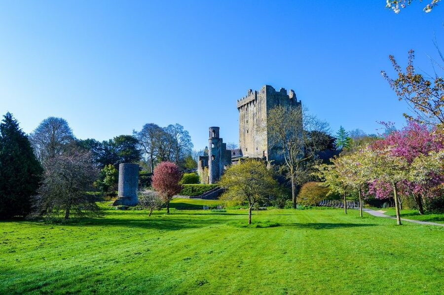 Dublin: Full-Day Tour to Cork, Cobh and Blarney Castle - Who will enjoy this day most