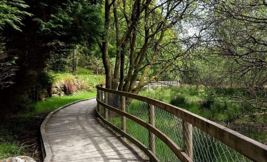 Dublin: Full-Day Wicklow Mountains Tour w/ Glendalough Visit - The short ride from Glendalough to Powerscourt