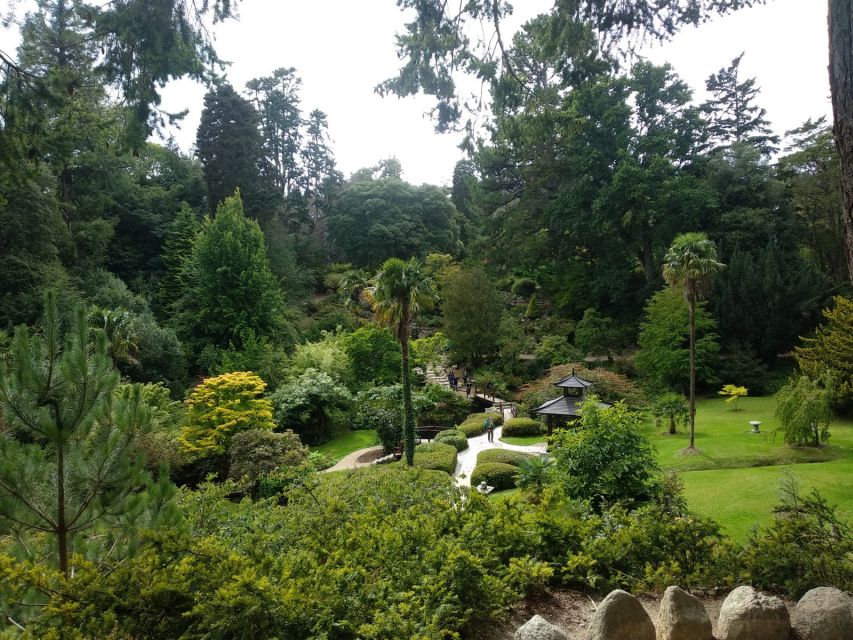 Dublin: Full-Day Wicklow Mountains Tour w/ Glendalough Visit - Choosing the language and pace that suit you