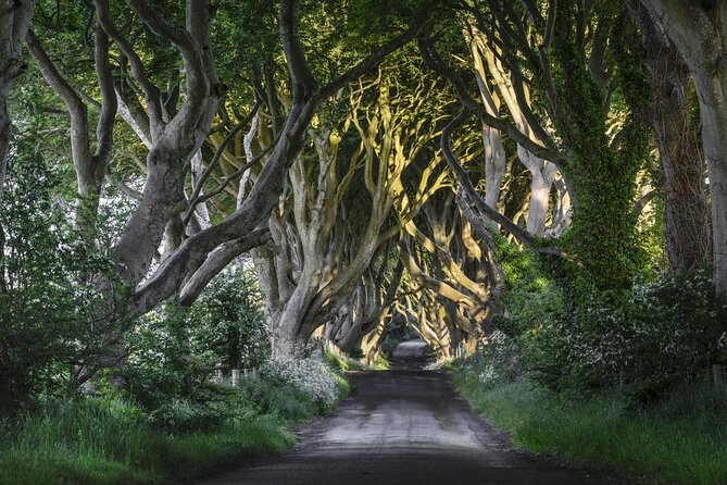 Dublin: Giant's Causeway, Dark Hedges, Dunluce and Belfast Titanic entrance fee - Key points to know before booking