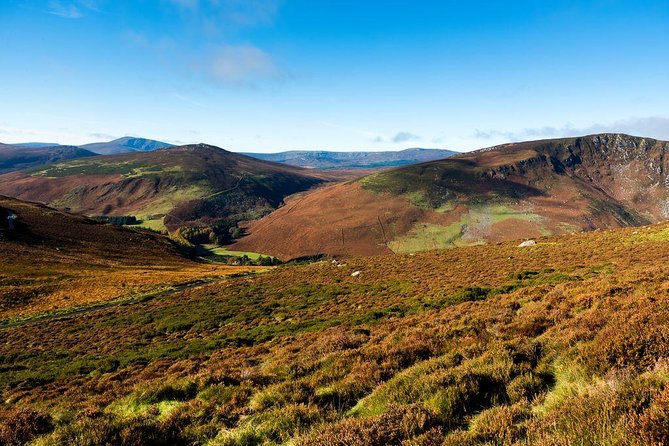 Dublin: Glendalough, Wicklow, Kilkenny and Sheepdog demonstration - The practical side of a long coach day