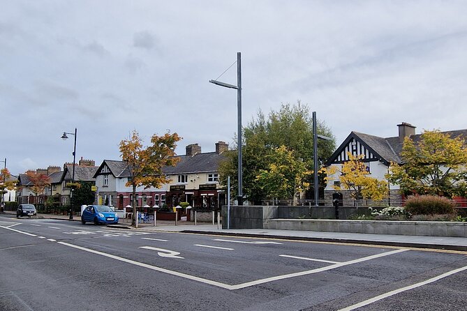 Dublin: Hidden Gem Walking Tour with Local Guide - Kingswood and the first Tallaght stories