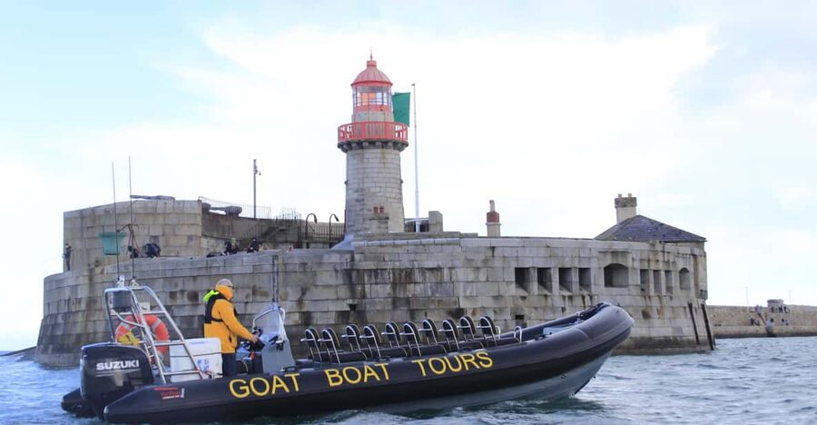 Dublin: History and Wildlife Boat Tour with Live Commentary - Open Water, Seals, and Seabirds