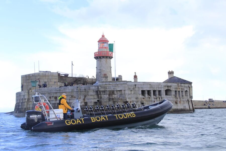 Dublin: History and Wildlife Boat Tour with Live Commentary - Dalkey Island and Coastal Mansions