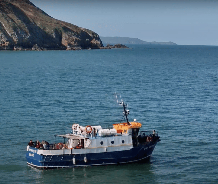 Dublin: Howth Cliffs and Lighthouse Boat Tour - Key points to know before you book