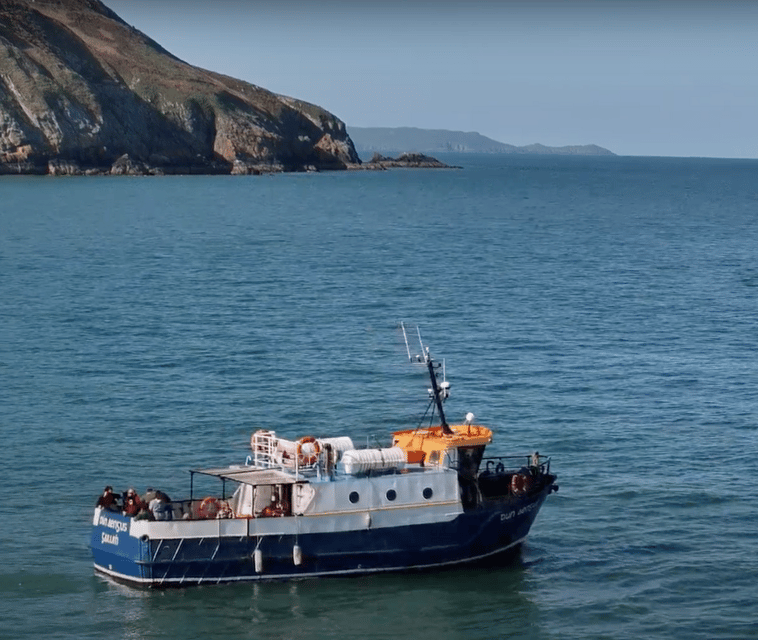 Dublin: Howth Cliffs and Lighthouse Boat Tour - Is $28 per person good value?
