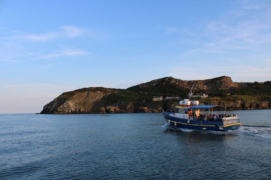 Dublin: Howth Cliffs and Lighthouse Cruise - A Short Cruise With a Big View of Dublin Bay