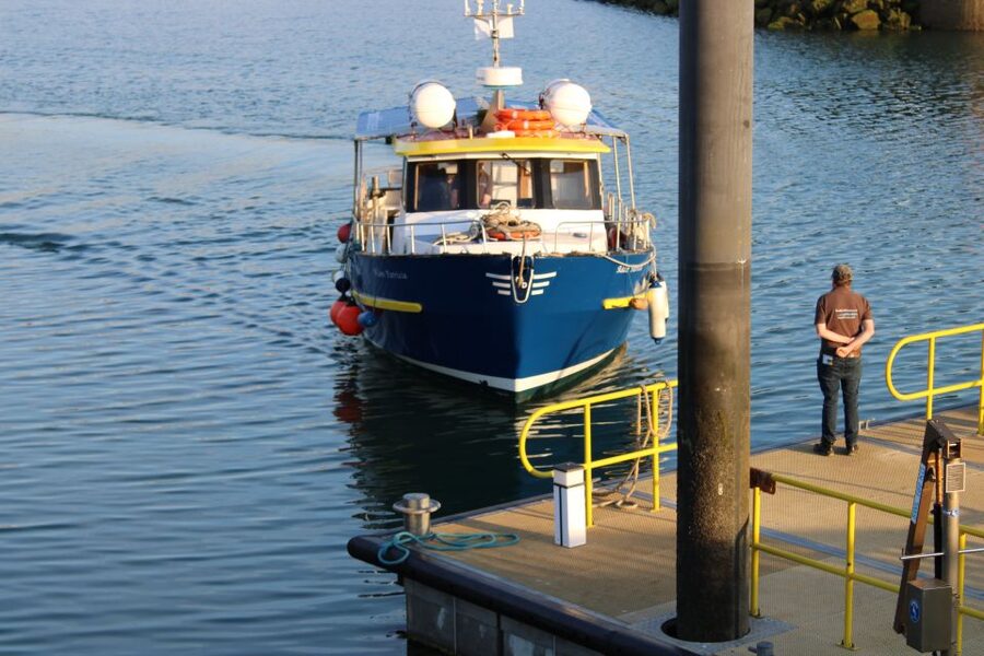 Dublin: Howth Cliffs and Lighthouse Cruise - Balscadden Bay and the First Coastal Views