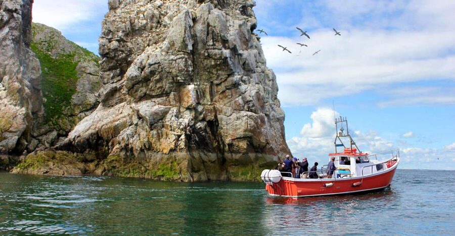 Dublin: Howth Coastal Boat Tour - Practical tips for a better ride