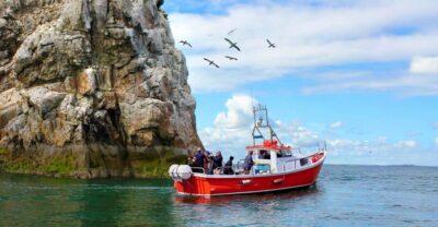 Howth Coastal Boat Tour