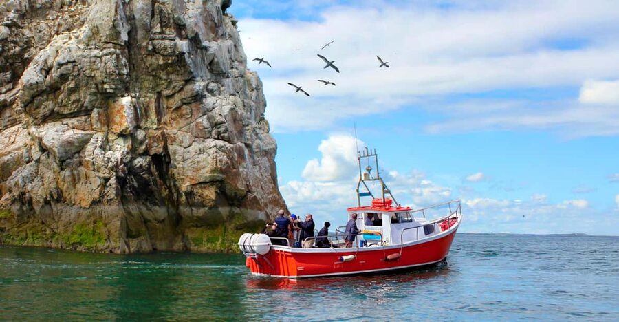 Dublin: Howth Coastal Boat Tour - Ireland’s Eye and its rocky shoreline