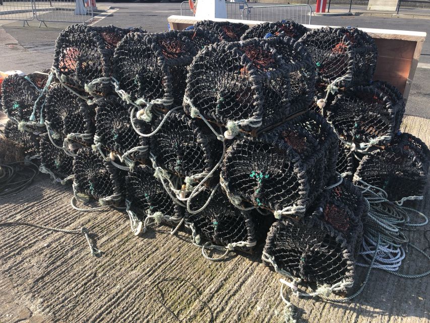 Dublin: Howth Coastal Craft Beer and Seafood Tour - Who will enjoy this Howth afternoon?