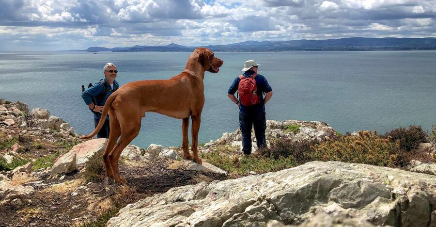 Dublin: Howth Coastal Hiking Tour - What makes this Howth hike worth your afternoon