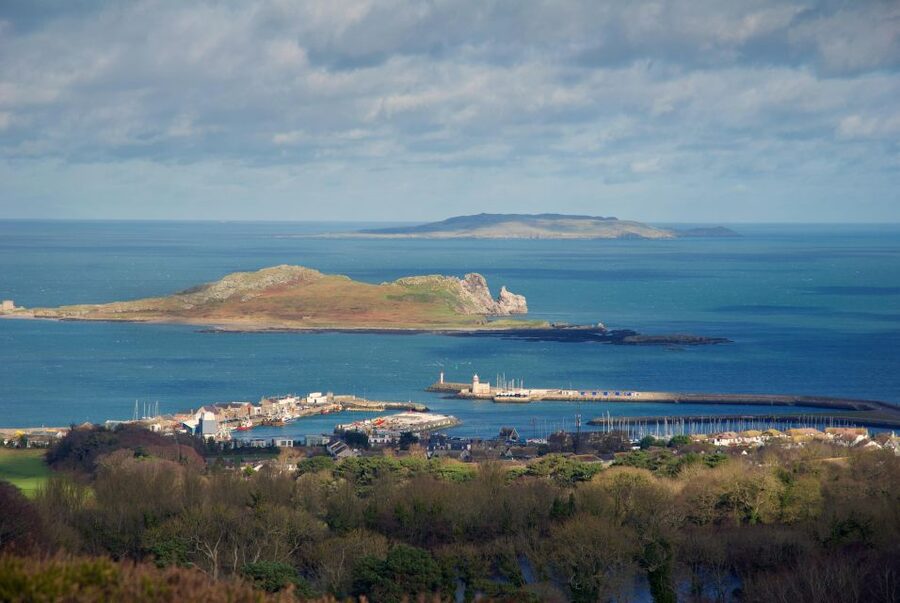 Dublin: Howth Coastal Hiking Tour - Heathland, wildflowers, and the climb to Ben of Howth