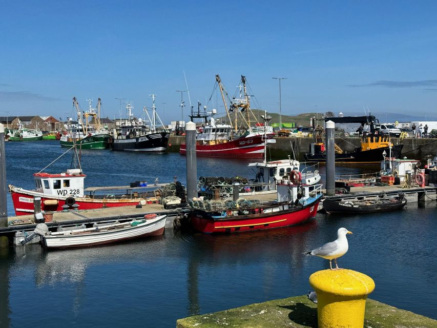 Dublin: Howth Coastal Hiking Tour - Guides, group mood, and the local touch