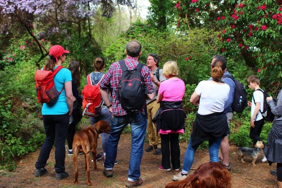 Dublin: Howth Coastal Hiking Tour - Is $44 a fair price?