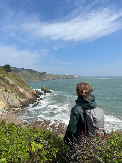 Dublin: Howth Safari Hiking Tour - Key points to know before you book