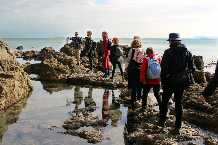 Dublin: Howth Safari Hiking Tour - The Old Irish Goat Herd and local wildlife