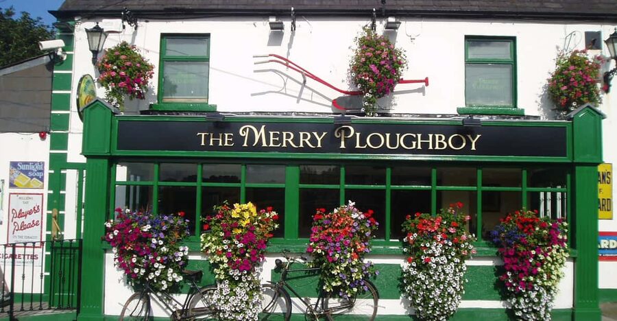 Dublin: Irish Night Show at the Merry Ploughboy Pub - Dinner at 6:30 p.m. or show only?