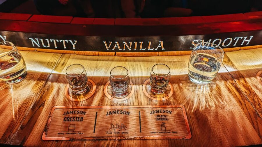 Dublin: Jameson Whiskey Distillery Tour with Tastings - Timing, languages, and practical details