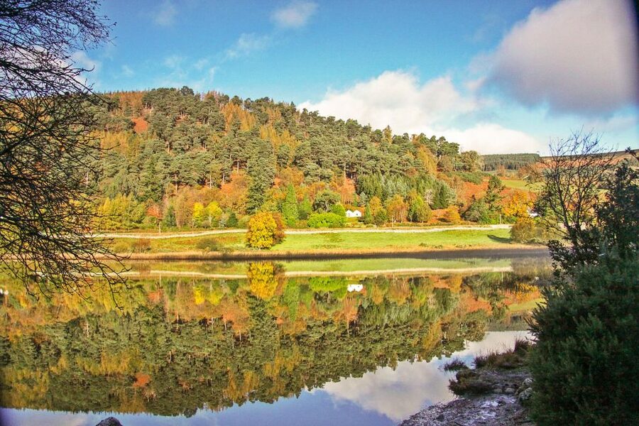 Dublin: Kilkenny, Wicklow & Glendalough Tour & Sheepdog Show - Should you book the Glendalough, Wicklow, Kilkenny, and sheepdog tour?