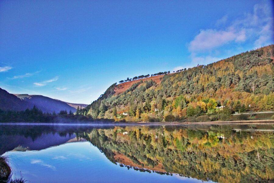 Dublin: Kilkenny, Wicklow & Glendalough Tour & Sheepdog Show - The bus day: what 10.5 hours feels like