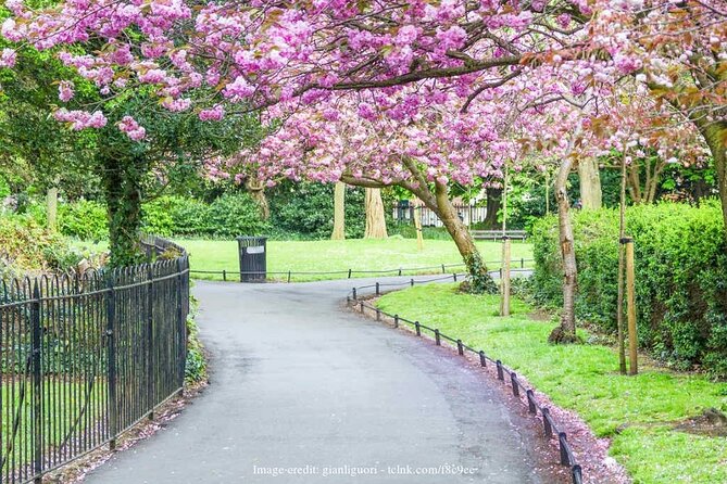 Dublin Off-The-Beaten-Path Private Literary Walking Tour - What the $170 price buys you