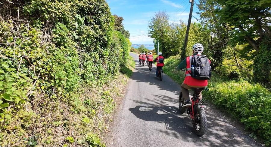 Dublin: Panoramic e-Bike Tour - What the $67 price gets you