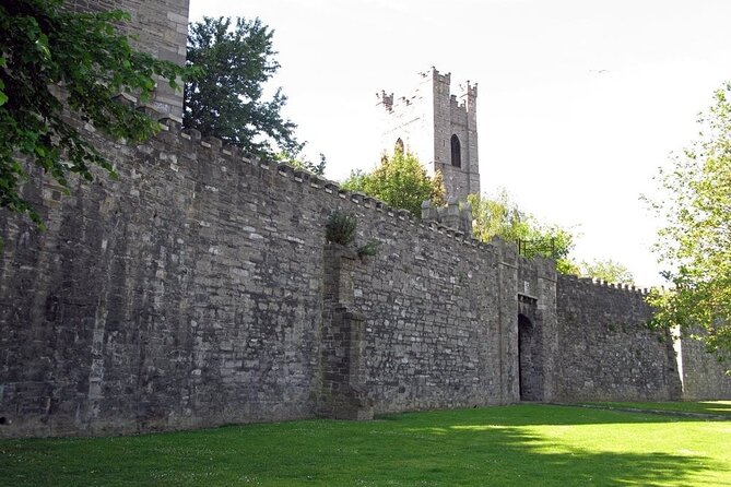 Dublin Private Medieval Walking Tour - Dublin Castle and the medieval center of power