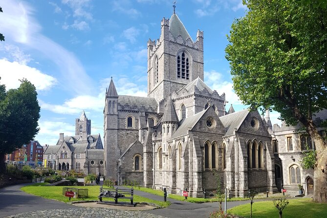 Dublin Private Medieval Walking Tour - Dubh Linn Gardens and the Viking beginning