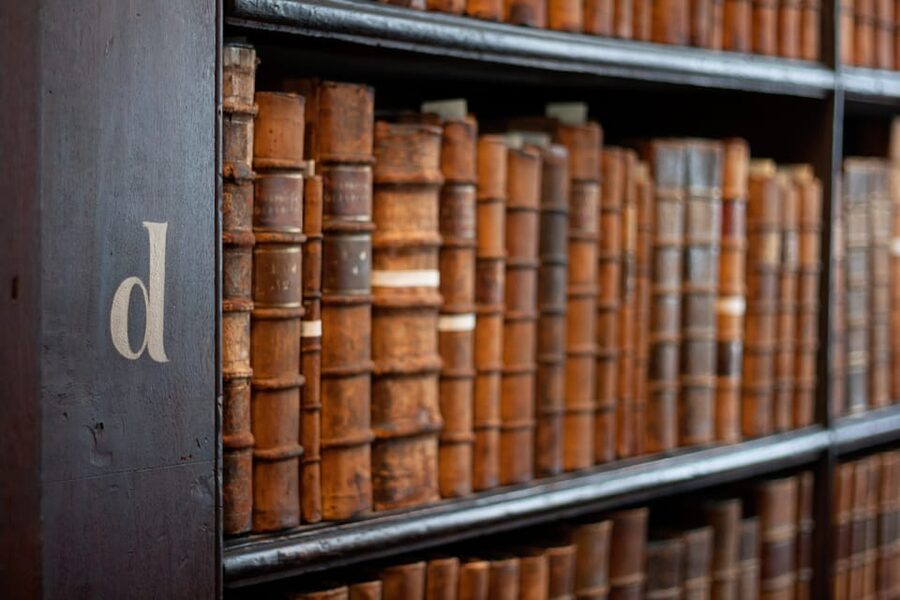 Dublin: St Patrick's, Book of Kells, and Dublin Castle Tour - Molly Malone and the details between landmarks