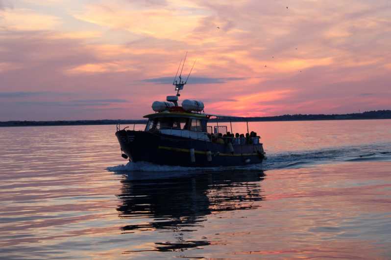 Dublin: Sunset Cruise in Howth - Key points to know