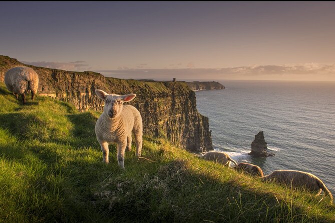 Dublin to Cliffs of Moher, Ennis Town & Bunratty Castle Day Tour - Bunratty Castle and Folk Park from 2 to 4 PM
