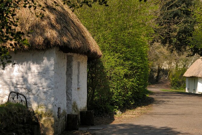 Dublin to Cliffs of Moher, Ennis Town & Bunratty Castle Day Tour - Should you book it?