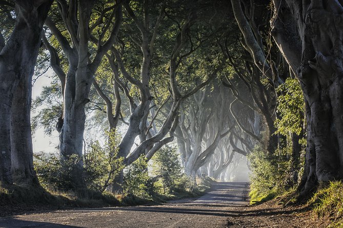 Dublin to Dunluce Castle, Giant's Causeway, Dark Hedges & Belfast - Comfort, weather, and the long return to Dublin