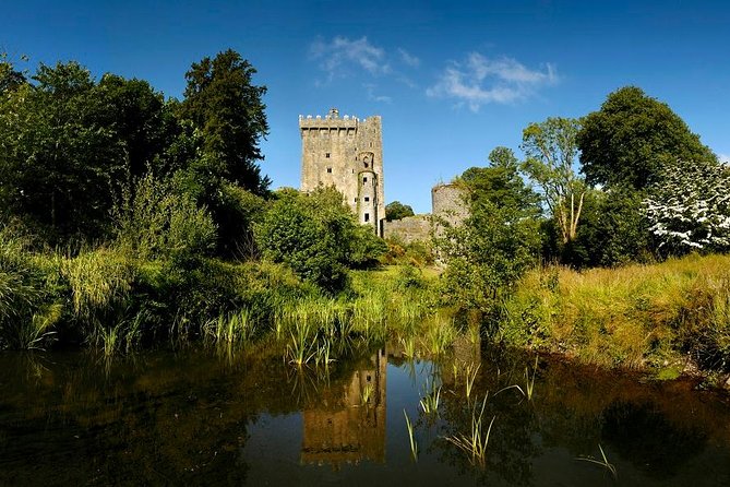 Dublin to Rock of Cashel, Cork City & Blarney Castle Guided Tour - What the $95.53 price really covers