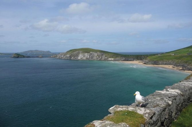 Dublin to South West 5 Day Small-Group Tour with Accommodation - Day 3: Inch Beach, Dingle, and Slea Head