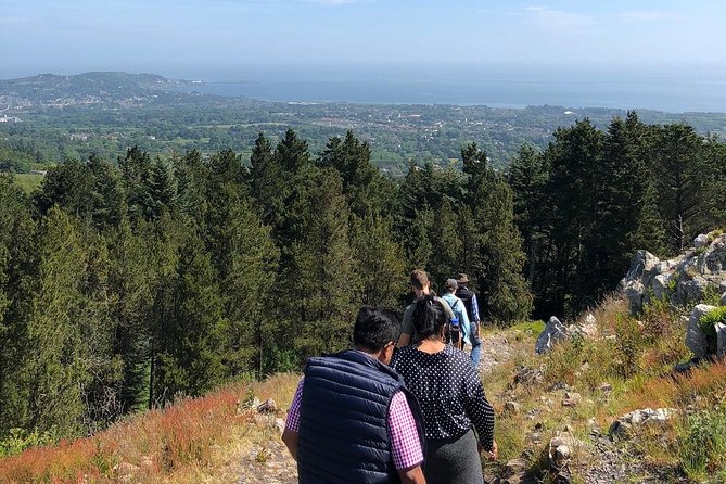 Dublin to Wicklow, Glendalough Small Group Tour with Guided Walk - Is $90.74 a fair price?