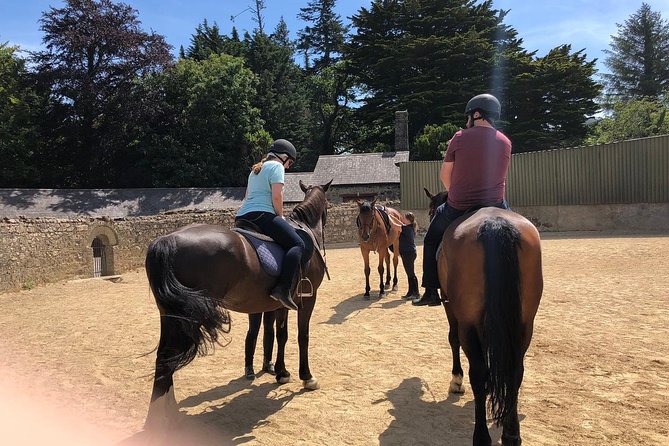 Dublin to Wicklow, Glendalough Small Group Tour with Horse Riding - Enniskerry lunch: a short Victorian village stop